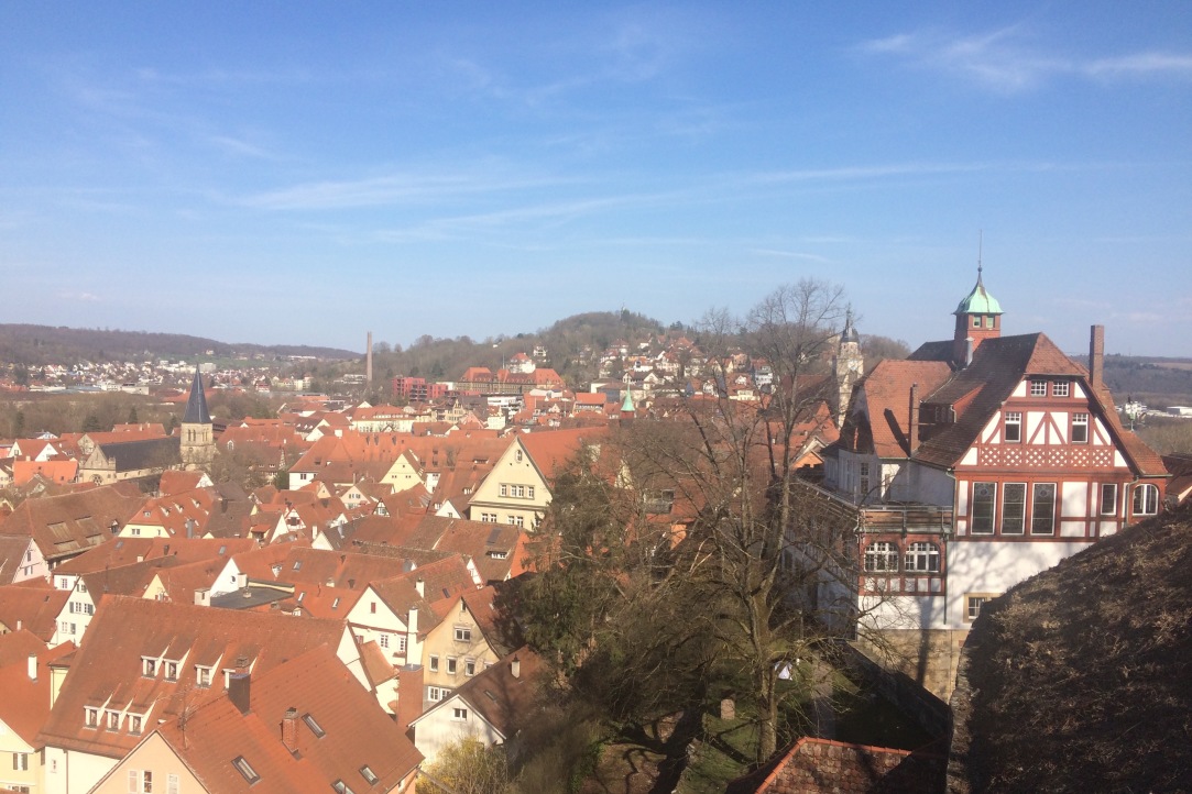 Andrei Rodin Made a Report on the Conference in Tübingen