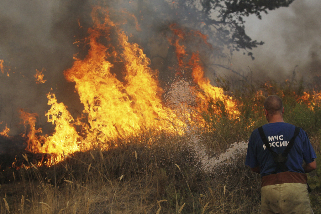 Extinguishing a forest fire, Voronezh region
