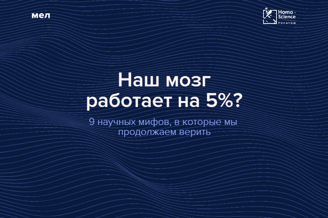 Старший научный сотрудник Центра языка и мозга поделилась экспертным мнением с интернет-изданием "Мел"