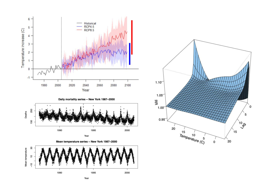 Visualization of initial data and simulation results of temperature dependence of mortality