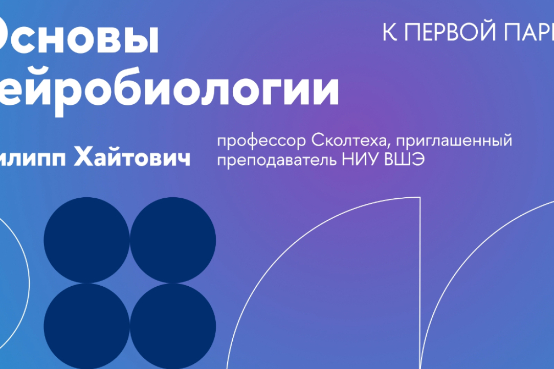 Иллюстрация к новости: Курс «Основы нейробиологии» войдет в серию открытых лекций проекта «К первой паре»