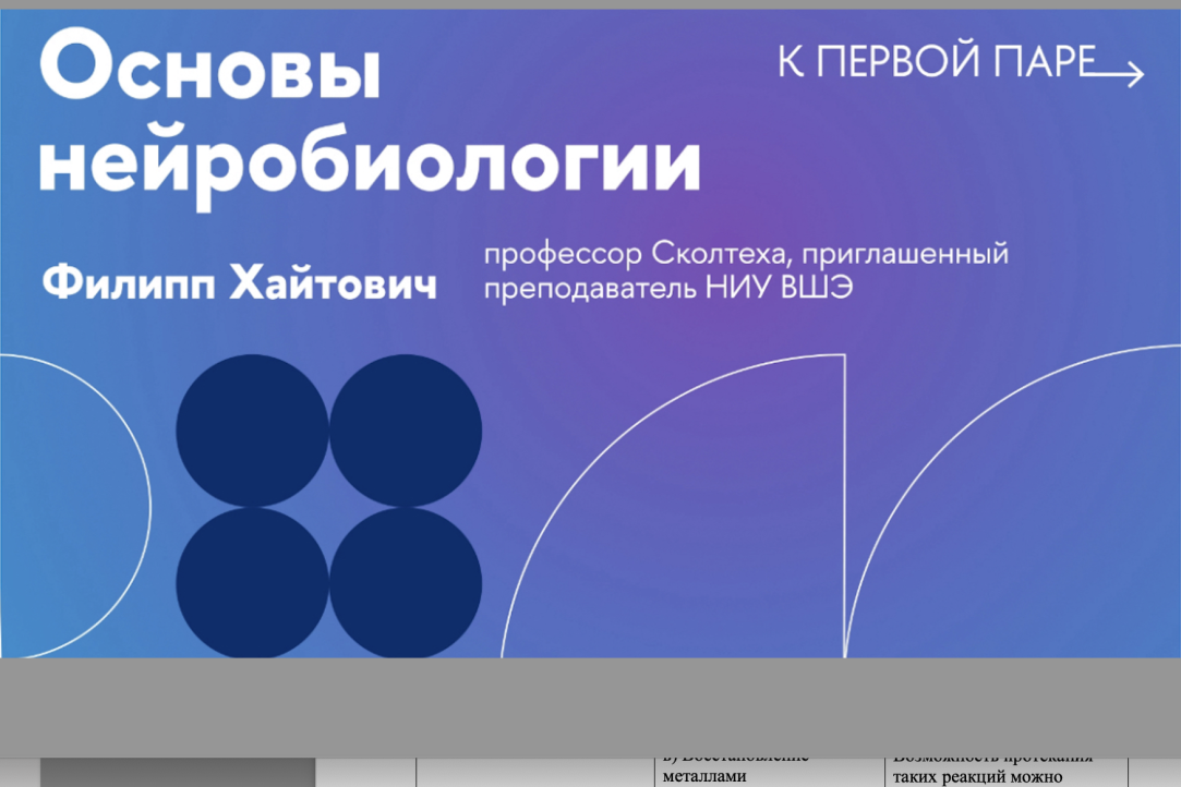 Иллюстрация к новости: Курс «Основы нейробиологии» войдет в серию открытых лекций проекта «К первой паре»