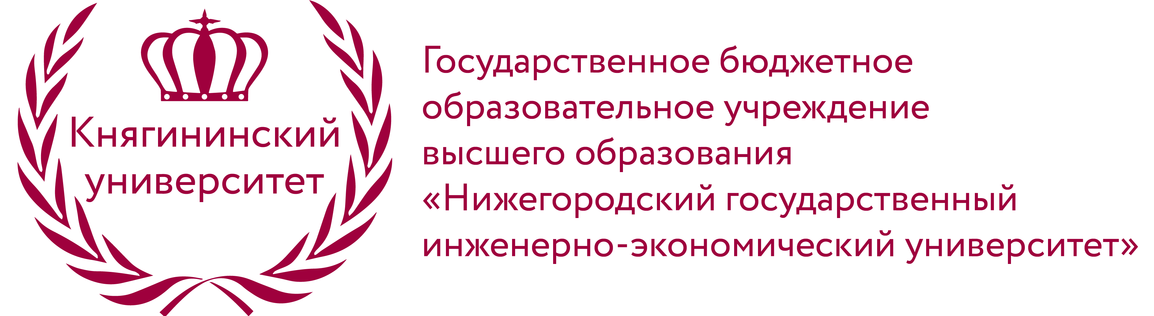 Княгининский. Княгининский университет логотип. Инженерно экономический университет Княгинино. Нижегородский государственный инженерно-экономический университет. Княгинино Нижний Новгород университет.