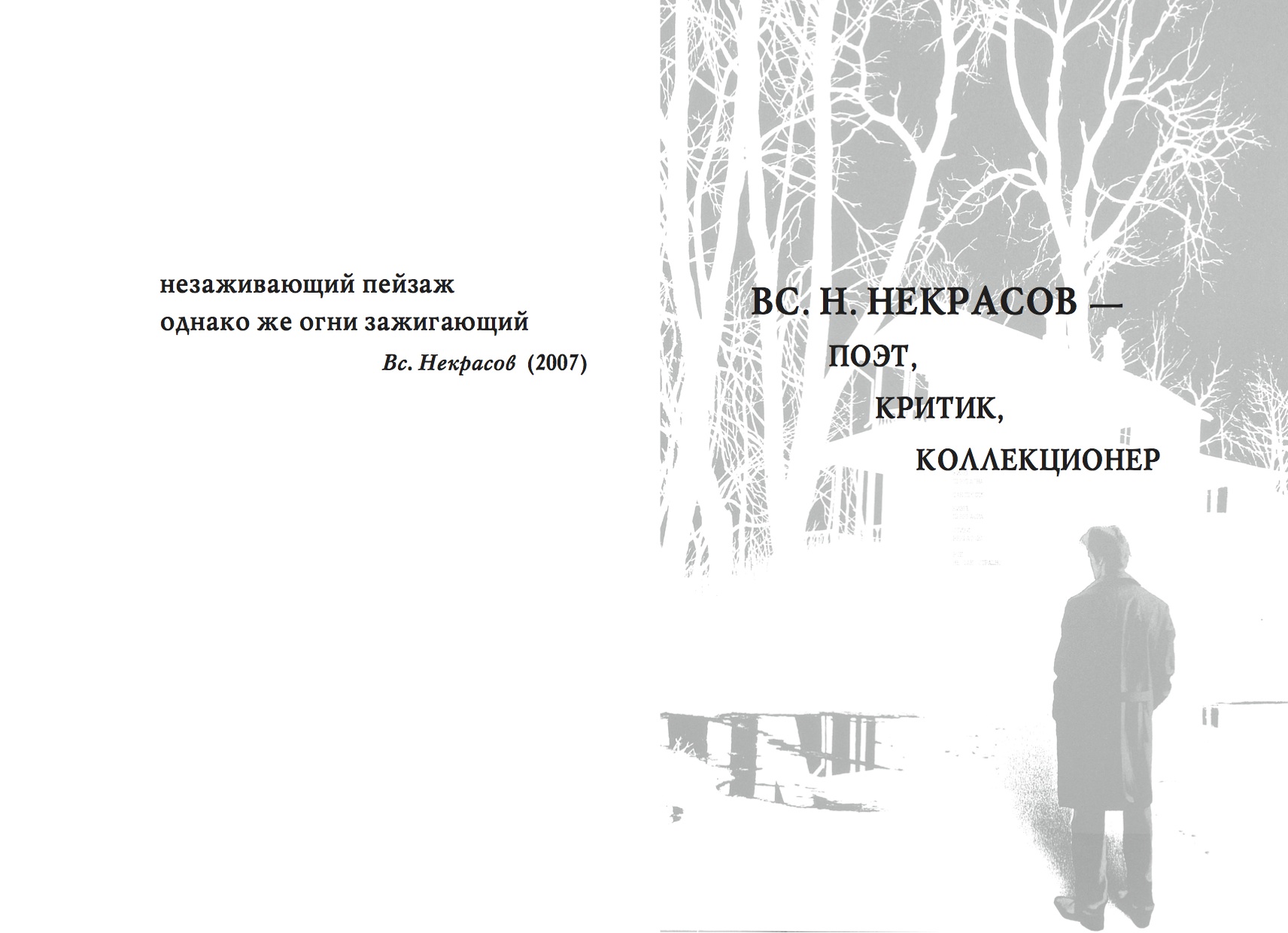 Критика поэтов. Буклет Некрасов. Вс н Некрасов. Вс Некрасов стихи. Некрасов коллекционер.