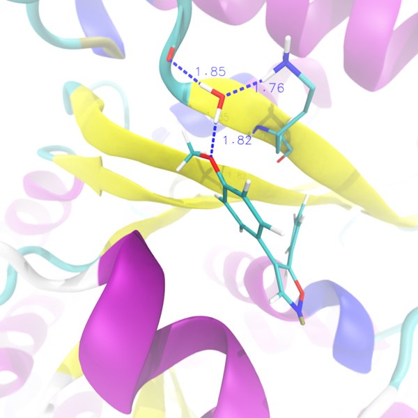 Molecular Dynamics Simulation