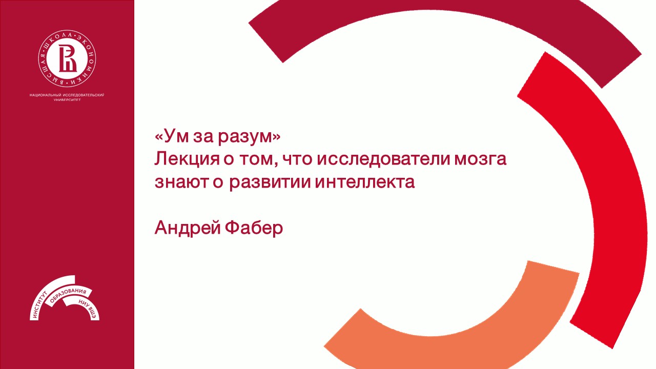 «Ум за разум». Лекция Андрея Фабера о том, что исследователи мозга знают о развитии интеллекта